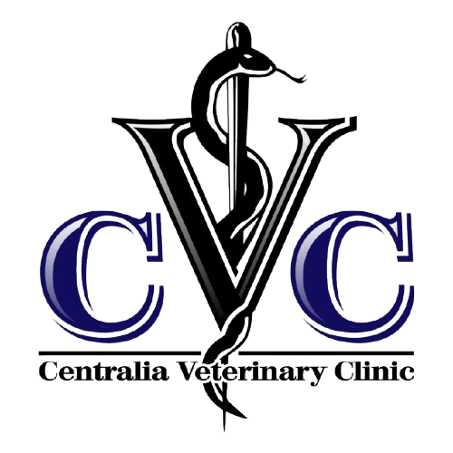 Centralia Veterinary Clinic